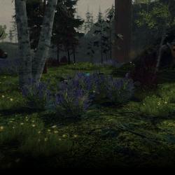 Best Forest Steam Profile Backgrounds 
