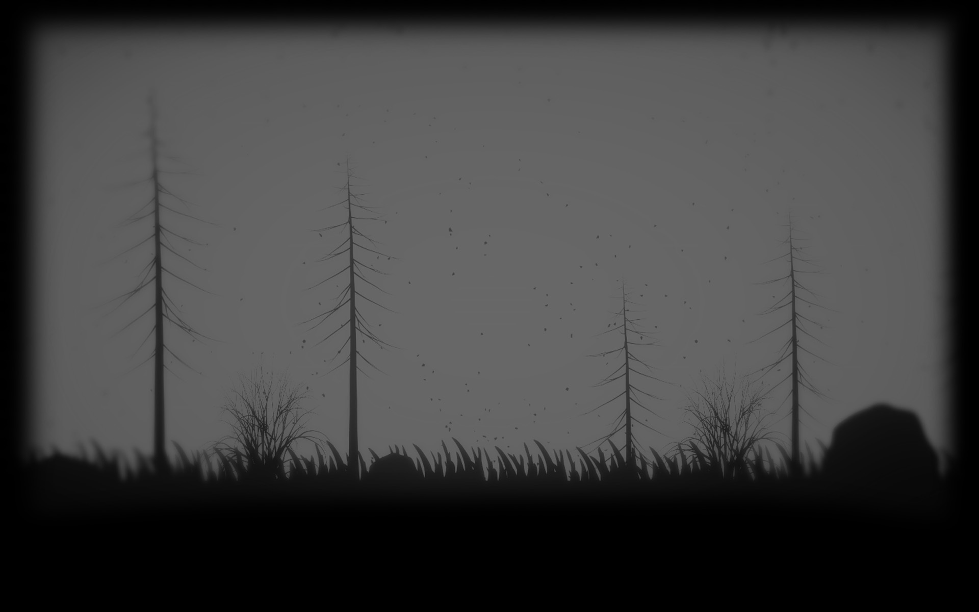 Dark Forest (Profile Background) 